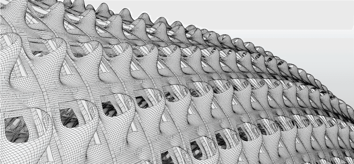 Image of parametric mesh surface model